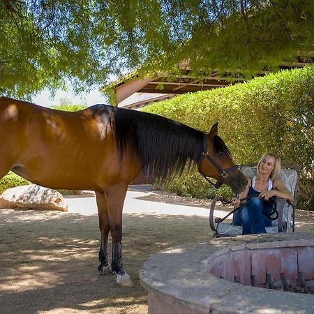 Agave Adobe Villa Scottsdale Luaran gambar