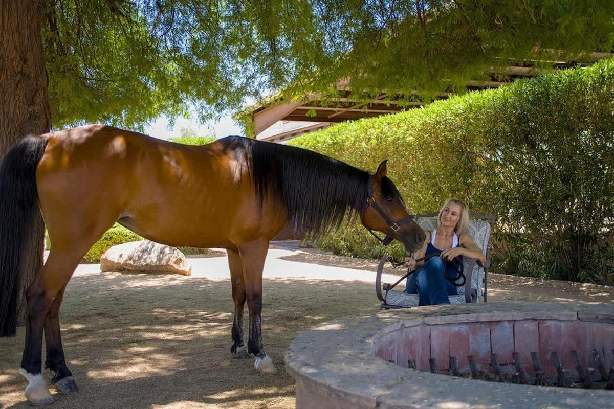 Agave Adobe Villa Scottsdale Luaran gambar